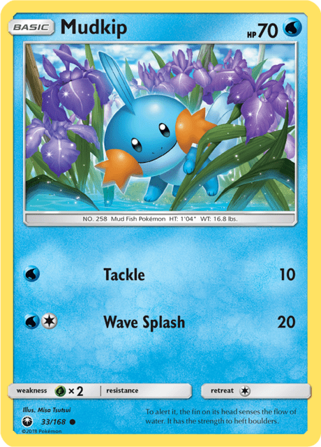 Mudkip
