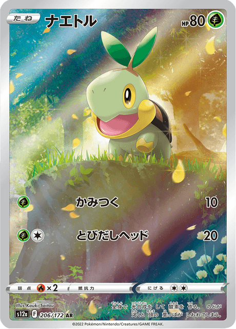 Turtwig