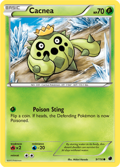 Cacnea