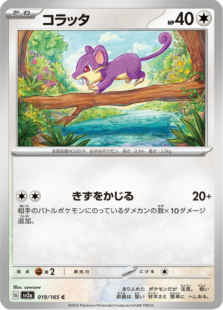 Rattata