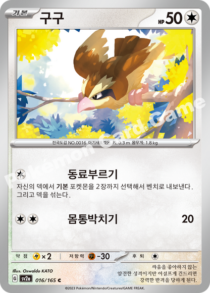 Pidgey