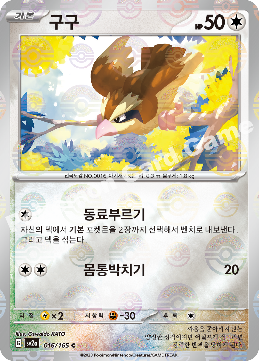 Pidgey