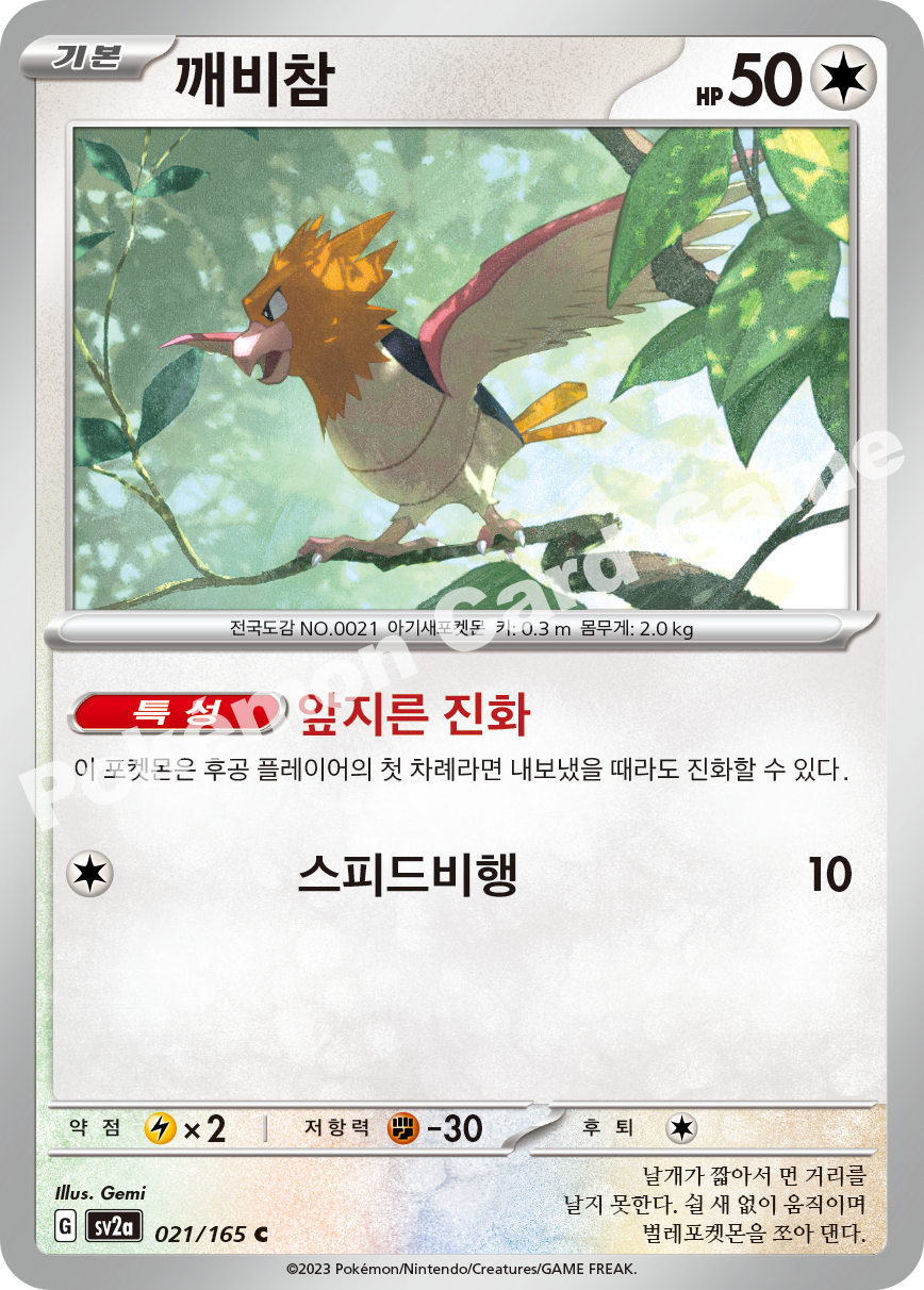 Spearow