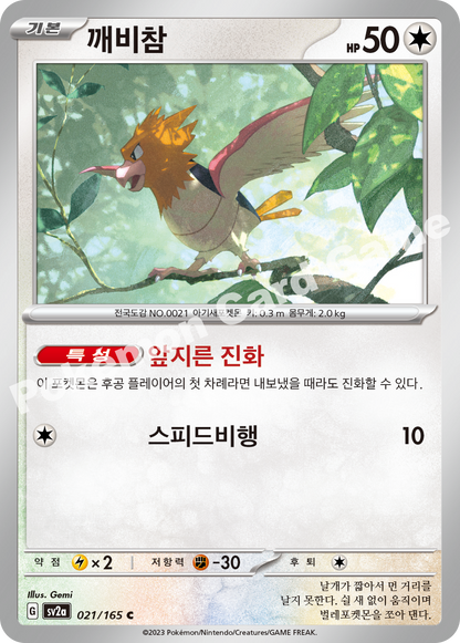 Spearow