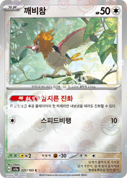Spearow