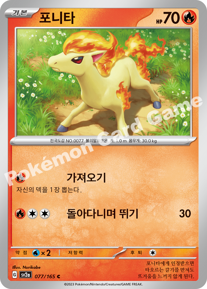 Ponyta