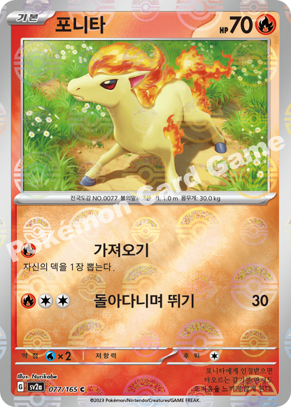 Ponyta